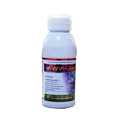 kesar-38