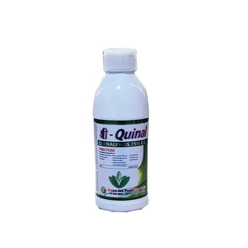 shree-quinal